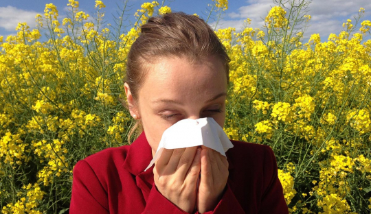 Wiosna - niełatwy okres dla alergików